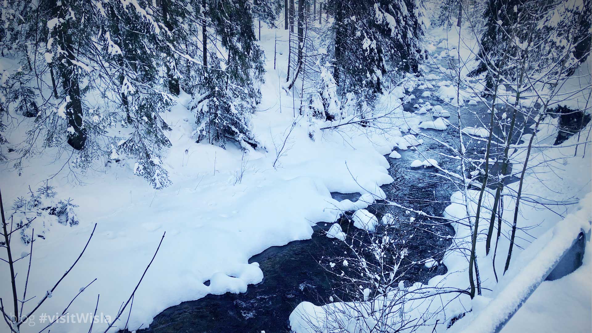 Potok Biała Wisełka zimą - Wisła Czarne